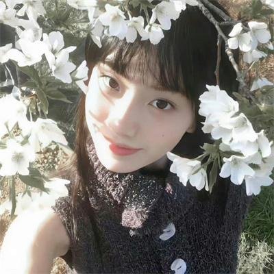 长歌行动画版