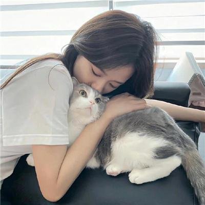 夏普的正义